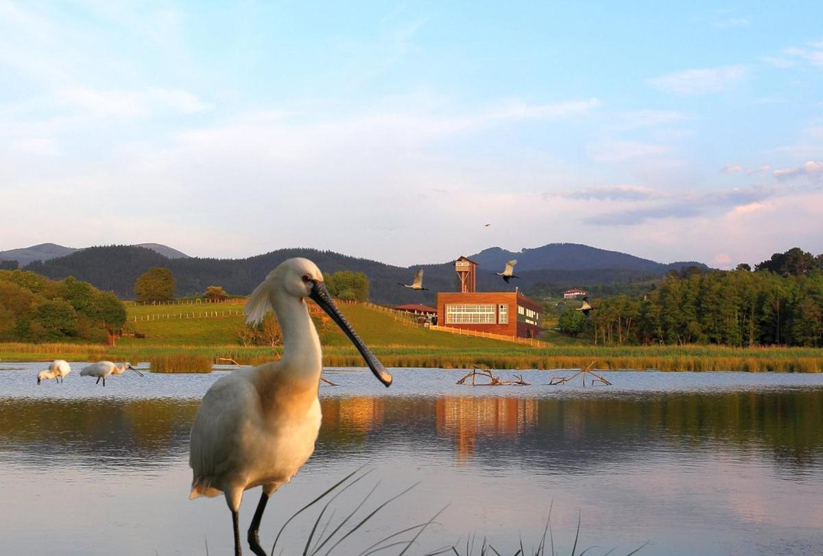 Вилла Adosado En La Costa Con Excelentes Vistas Al Estuario De Urdaibai Мундака Экстерьер фото